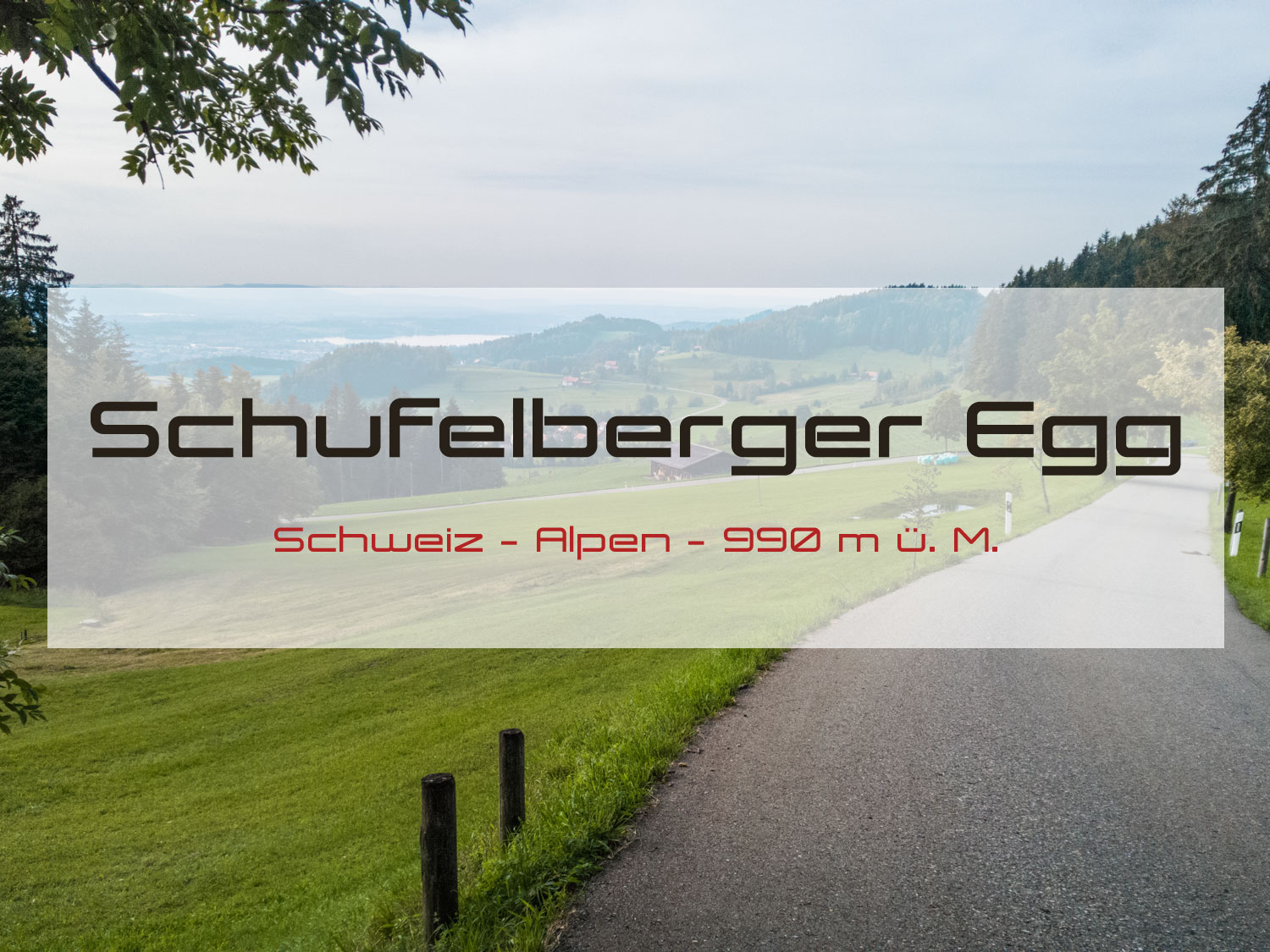 Schufelberger Egg