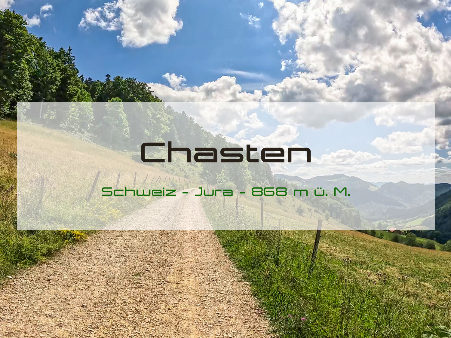 Chasten