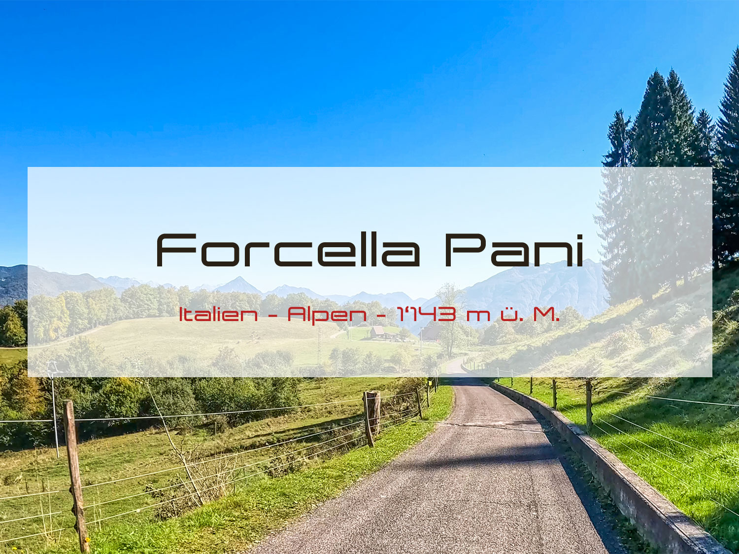 Forcella Pani